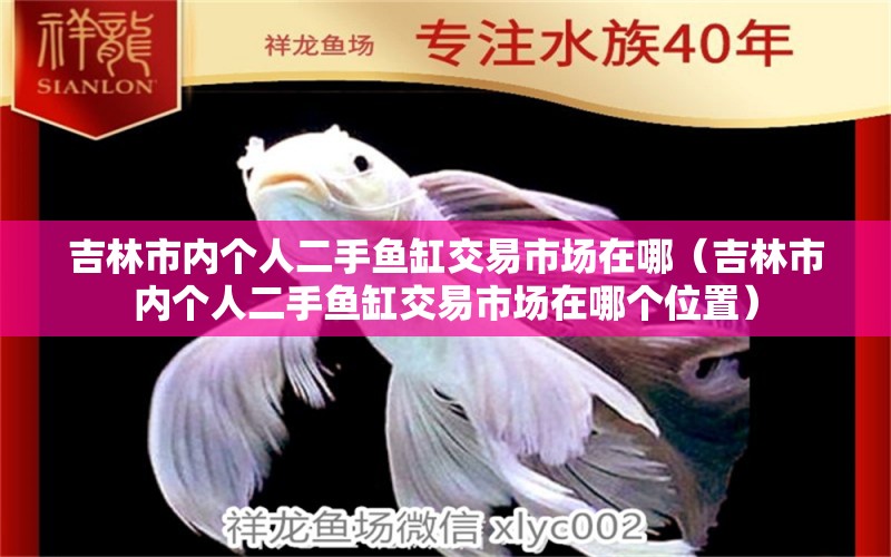 吉林市内个人二手鱼缸交易市场在哪（吉林市内个人二手鱼缸交易市场在哪个位置） 撒旦鸭嘴鱼