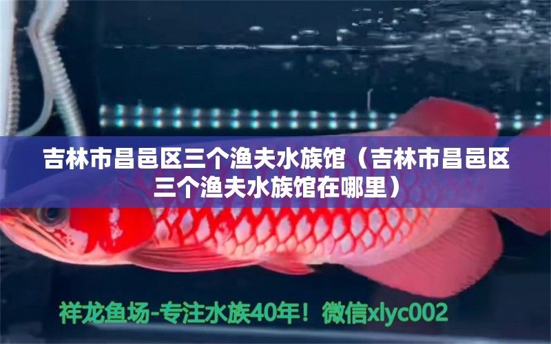 吉林市昌邑区三个渔夫水族馆（吉林市昌邑区三个渔夫水族馆在哪里）