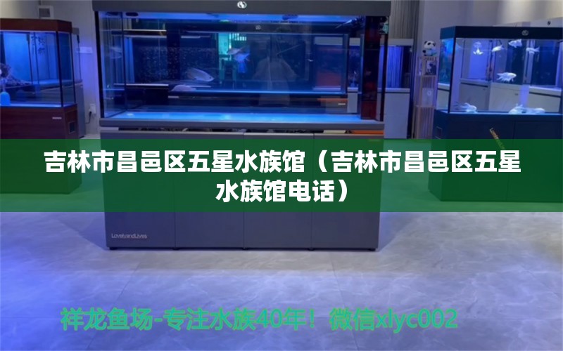 吉林市昌邑区五星水族馆（吉林市昌邑区五星水族馆电话） 全国水族馆企业名录