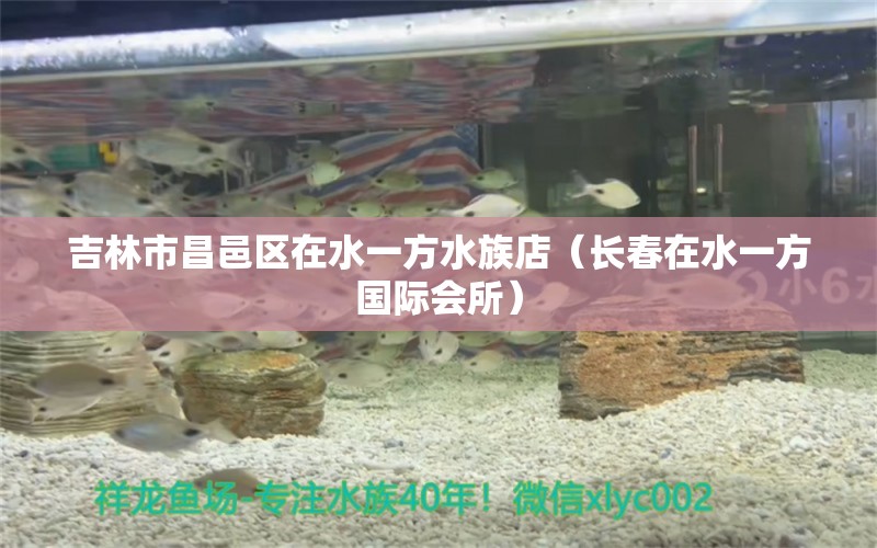 吉林市昌邑区在水一方水族店（长春在水一方国际会所）