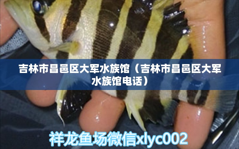 吉林市昌邑区大军水族馆（吉林市昌邑区大军水族馆电话）