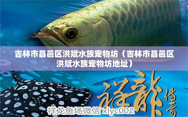 吉林市昌邑区洪斌水族宠物坊（吉林市昌邑区洪斌水族宠物坊地址） 全国水族馆企业名录