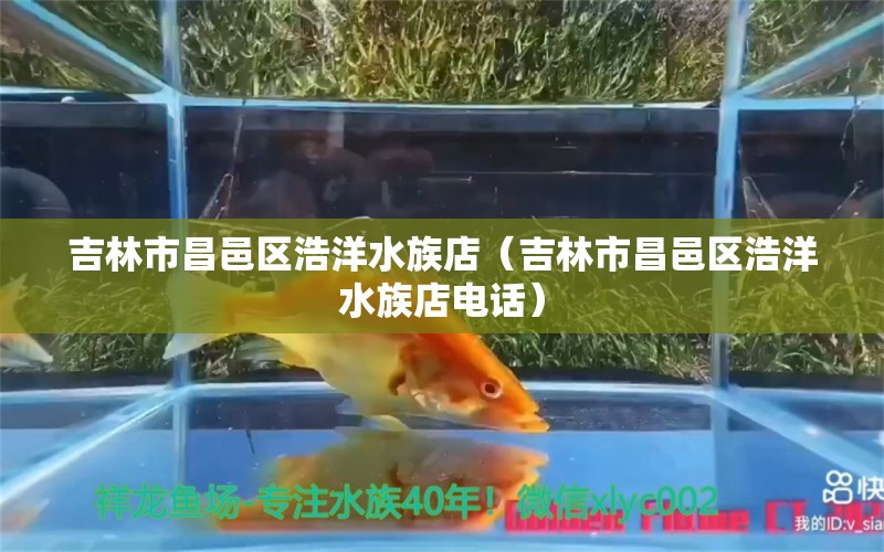 吉林市昌邑区浩洋水族店（吉林市昌邑区浩洋水族店电话）