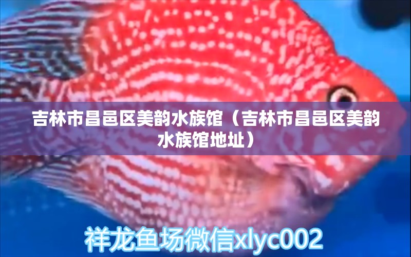 吉林市昌邑区美韵水族馆（吉林市昌邑区美韵水族馆地址）