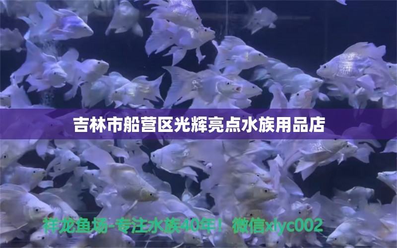 吉林市船营区光辉亮点水族用品店