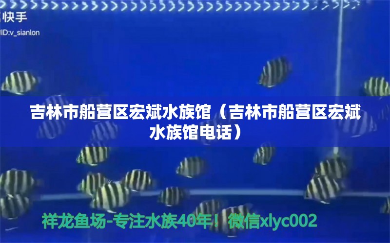 吉林市船营区宏斌水族馆（吉林市船营区宏斌水族馆电话）