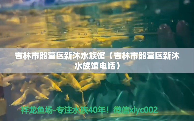 吉林市船营区新沐水族馆（吉林市船营区新沐水族馆电话）