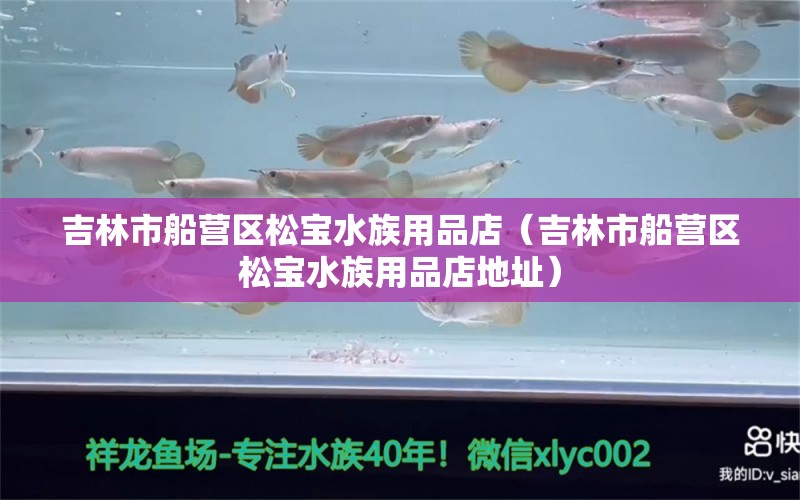 吉林市船营区松宝水族用品店（吉林市船营区松宝水族用品店地址） 水族用品