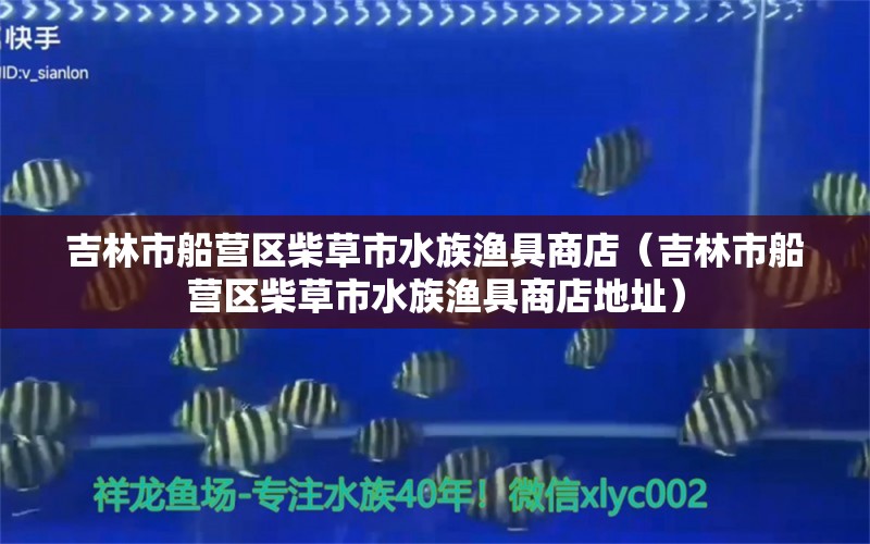 吉林市船营区柴草市水族渔具商店（吉林市船营区柴草市水族渔具商店地址）