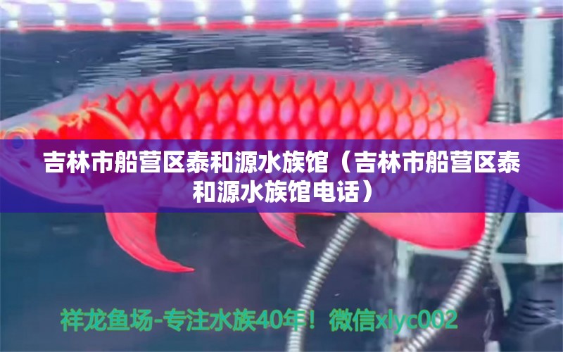 吉林市船营区泰和源水族馆（吉林市船营区泰和源水族馆电话）