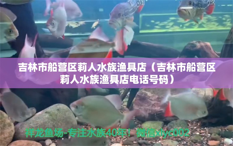 吉林市船营区莉人水族渔具店（吉林市船营区莉人水族渔具店电话号码）