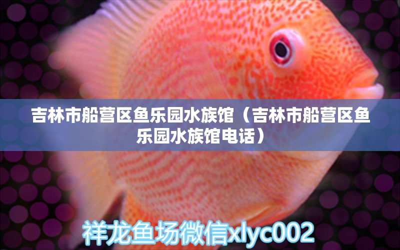 吉林市船营区鱼乐园水族馆（吉林市船营区鱼乐园水族馆电话） 全国水族馆企业名录