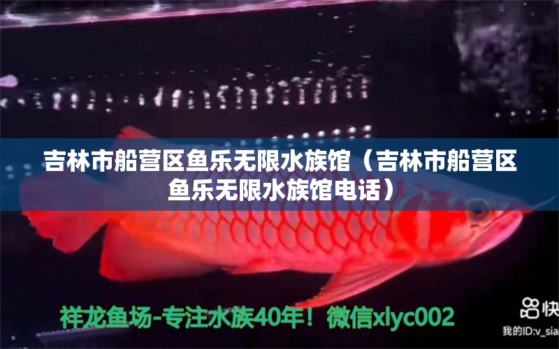 吉林市船营区鱼乐无限水族馆（吉林市船营区鱼乐无限水族馆电话） 全国水族馆企业名录