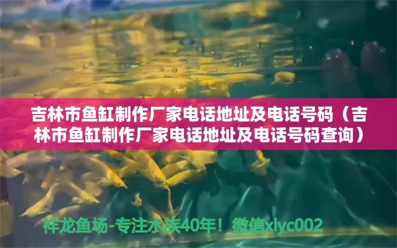 吉林市鱼缸制作厂家电话地址及电话号码（吉林市鱼缸制作厂家电话地址及电话号码查询） 蝴蝶鲤鱼苗