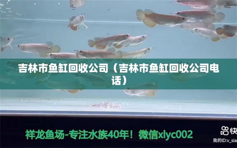 吉林市鱼缸回收公司（吉林市鱼缸回收公司电话） 祥龙水族医院