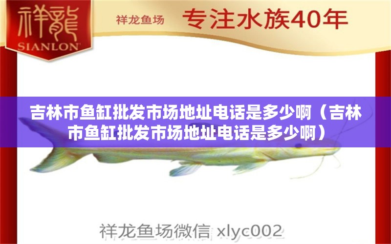 吉林市鱼缸批发市场地址电话是多少啊（吉林市鱼缸批发市场地址电话是多少啊）