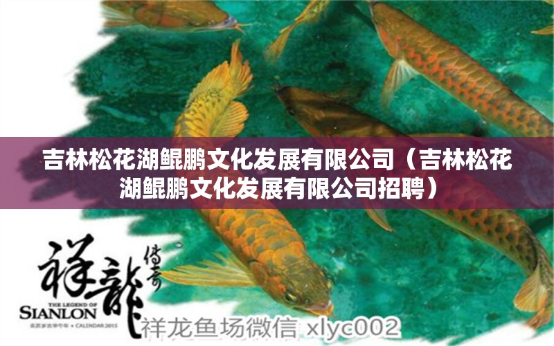 吉林松花湖鲲鹏文化发展有限公司（吉林松花湖鲲鹏文化发展有限公司招聘）