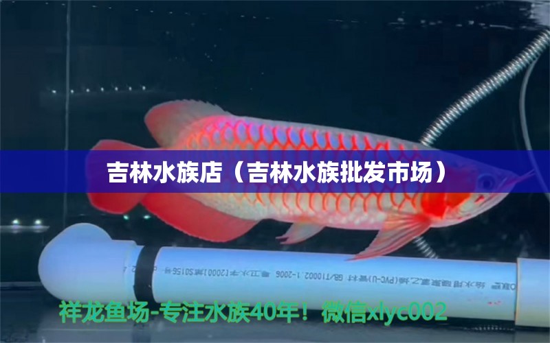 吉林水族店（吉林水族批发市场）