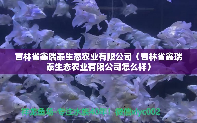 吉林省鑫瑞泰生态农业有限公司（吉林省鑫瑞泰生态农业有限公司怎么样）