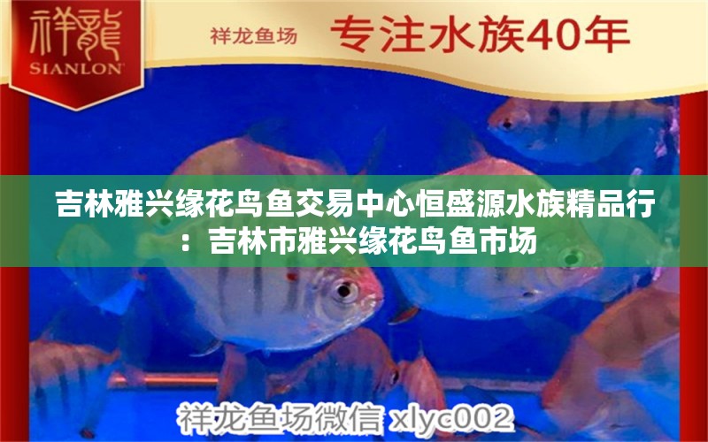 吉林雅兴缘花鸟鱼交易中心恒盛源水族精品行：吉林市雅兴缘花鸟鱼市场 全国水族馆企业名录