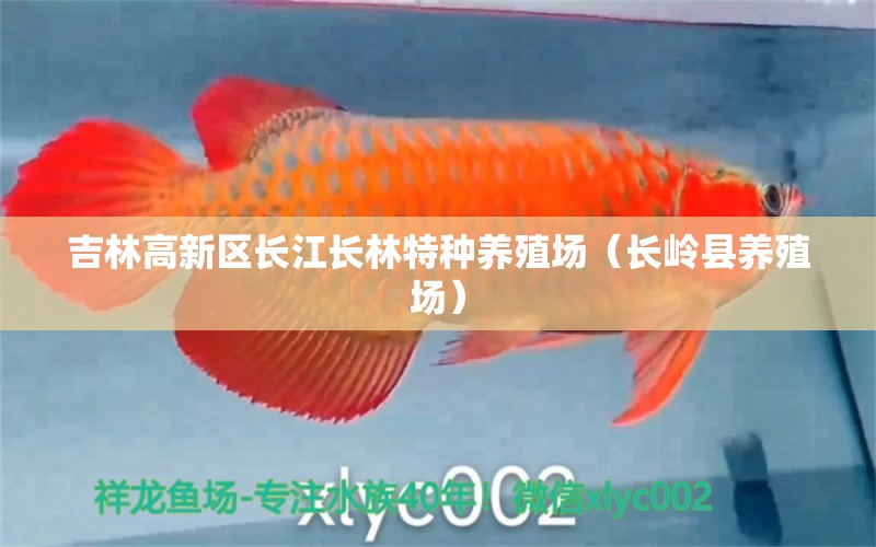 吉林高新区长江长林特种养殖场（长岭县养殖场） 全国水族馆企业名录