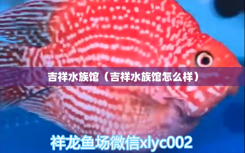 吉祥水族馆（吉祥水族馆怎么样） 全国水族馆企业名录