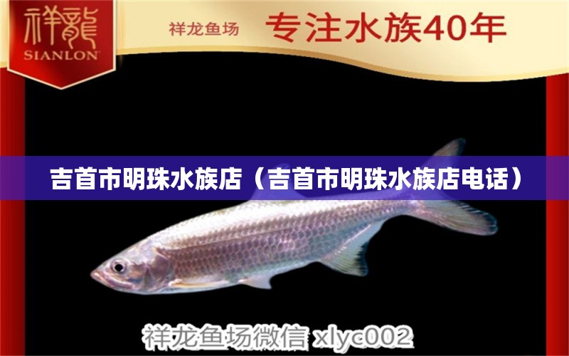 吉首市明珠水族店（吉首市明珠水族店电话） 全国水族馆企业名录