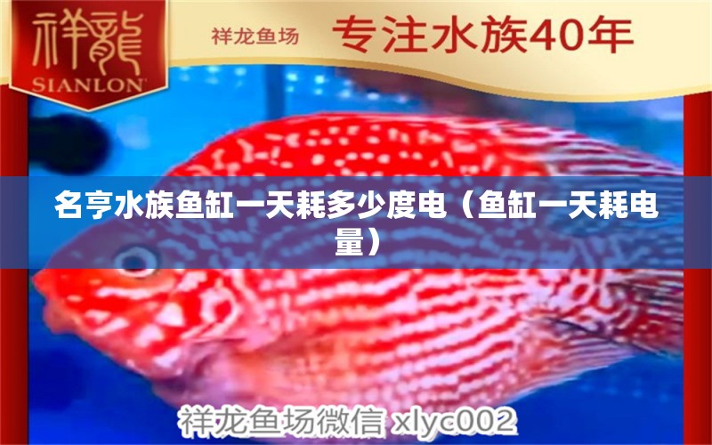 名亨水族鱼缸一天耗多少度电（鱼缸一天耗电量）