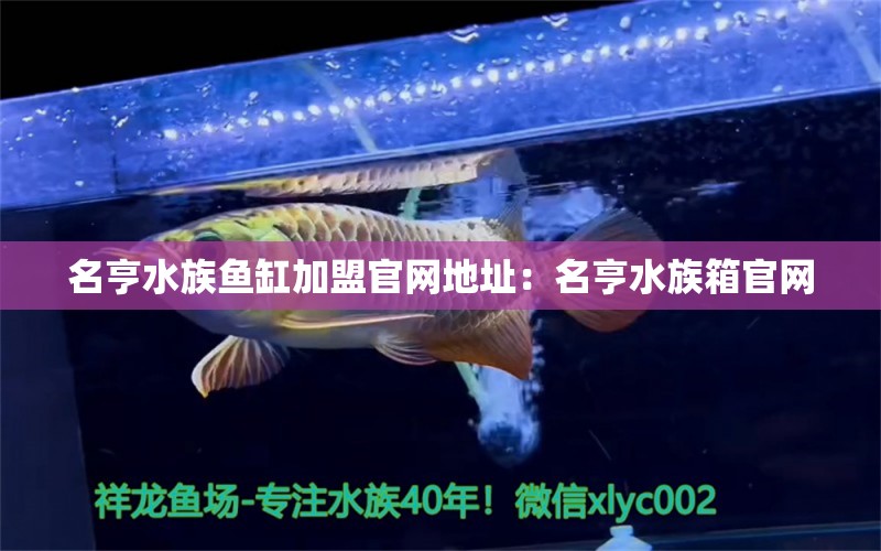 名亨水族鱼缸加盟官网地址：名亨水族箱官网