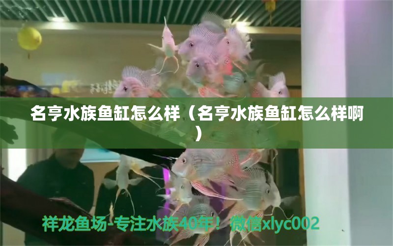 名亨水族鱼缸怎么样（名亨水族鱼缸怎么样啊）