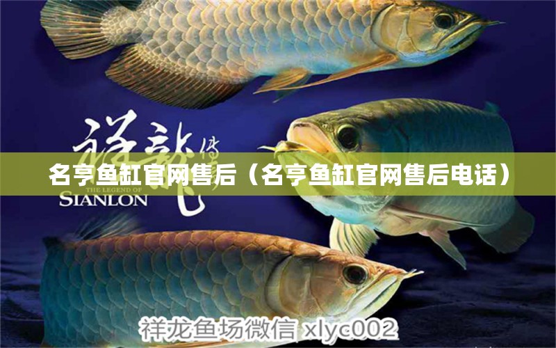 名亨鱼缸官网售后（名亨鱼缸官网售后电话） 祥龙水族医院