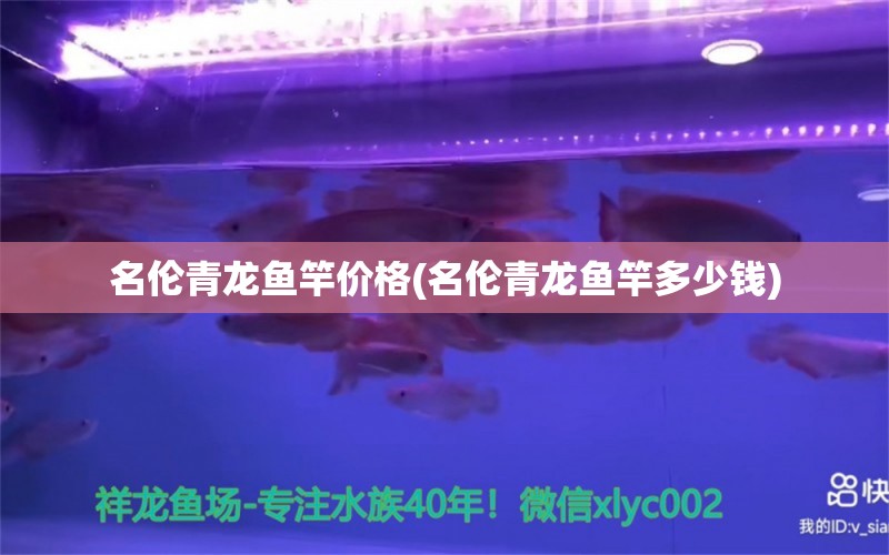 名伦青龙鱼竿价格(名伦青龙鱼竿多少钱) 垂钓乐园 第1张