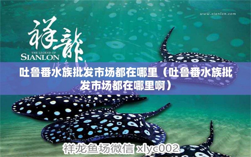 吐鲁番水族批发市场都在哪里（吐鲁番水族批发市场都在哪里啊）