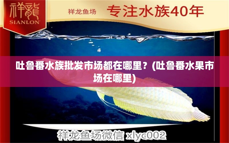 吐鲁番水族批发市场都在哪里？(吐鲁番水果市场在哪里) 观赏鱼水族批发市场