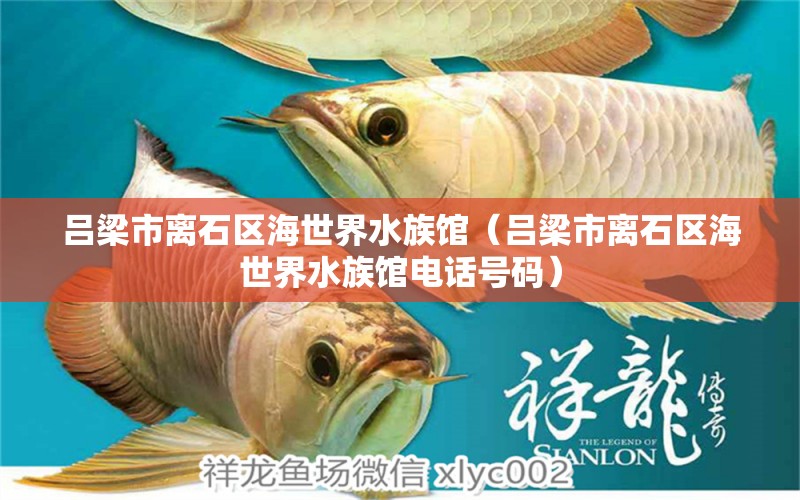 吕梁市离石区海世界水族馆（吕梁市离石区海世界水族馆电话号码）