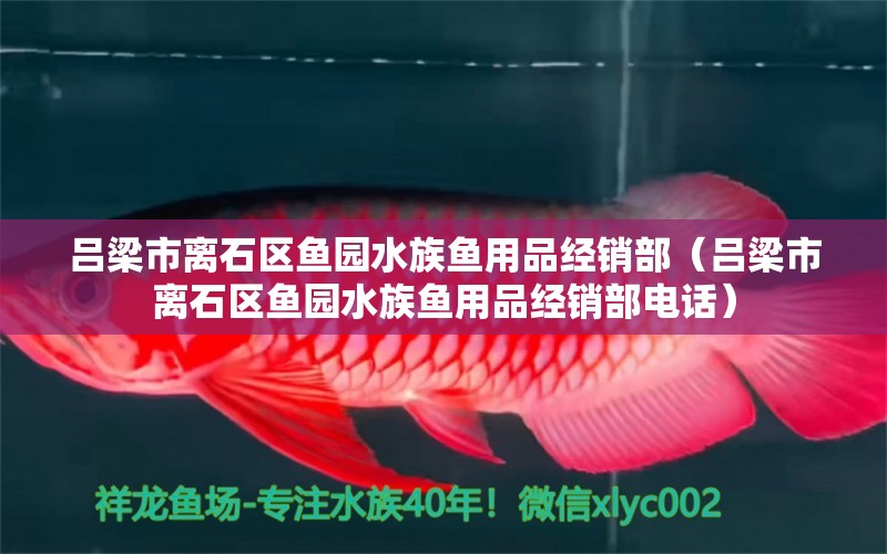 吕梁市离石区鱼园水族鱼用品经销部（吕梁市离石区鱼园水族鱼用品经销部电话）