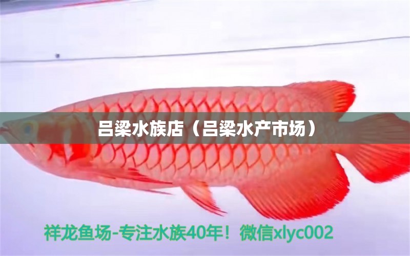 吕梁水族店（吕梁水产市场）