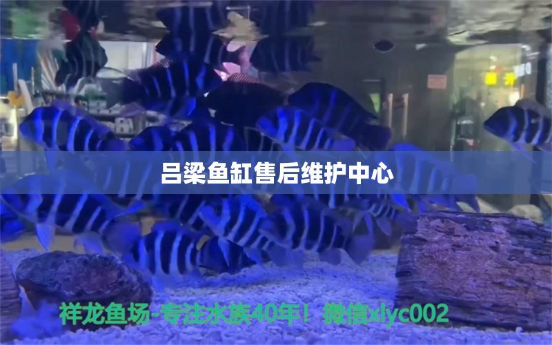 吕梁鱼缸售后维护中心 其他品牌鱼缸