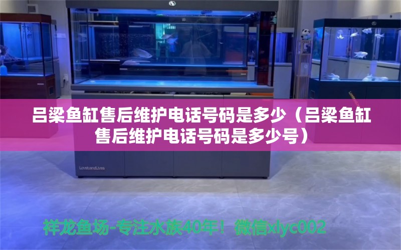 吕梁鱼缸售后维护电话号码是多少（吕梁鱼缸售后维护电话号码是多少号）