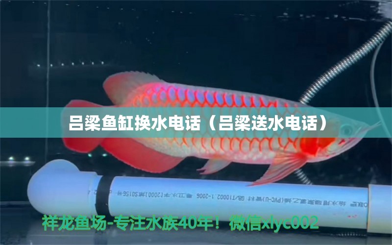 吕梁鱼缸换水电话（吕梁送水电话） 祥龙水族医院