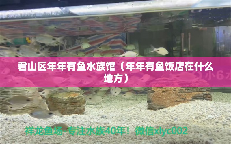 君山区年年有鱼水族馆（年年有鱼饭店在什么地方）