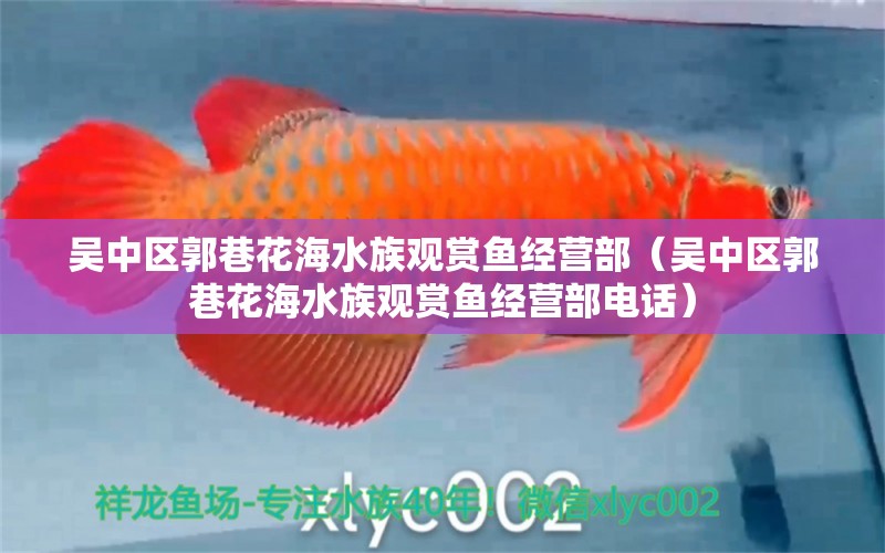 吴中区郭巷花海水族观赏鱼经营部（吴中区郭巷花海水族观赏鱼经营部电话）