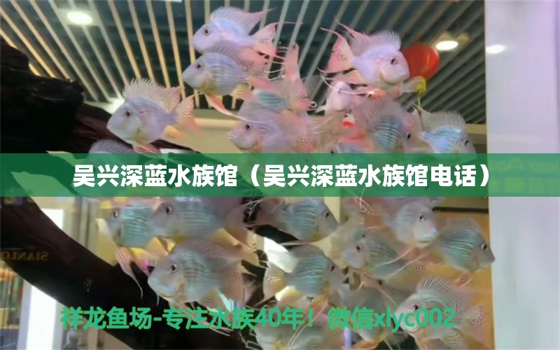 吴兴深蓝水族馆（吴兴深蓝水族馆电话）