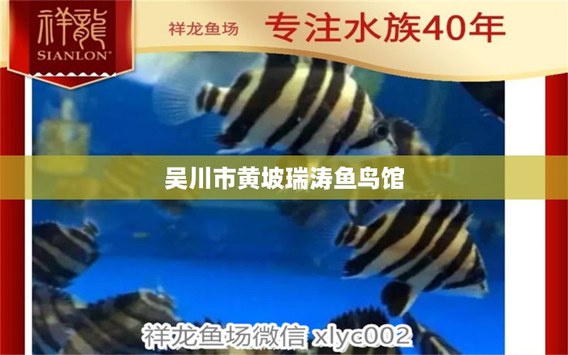 吴川市黄坡瑞涛鱼鸟馆 全国水族馆企业名录