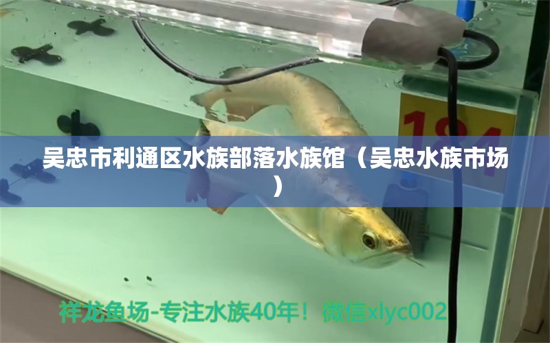 吴忠市利通区水族部落水族馆（吴忠水族市场）