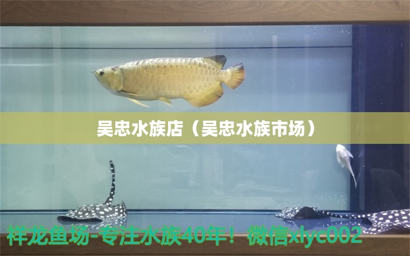 吴忠水族店（吴忠水族市场） 观赏鱼市场