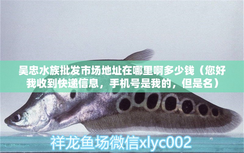 吴忠水族批发市场地址在哪里啊多少钱（您好我收到快递信息，手机号是我的，但是名） 国产元宝凤凰鱼 第1张