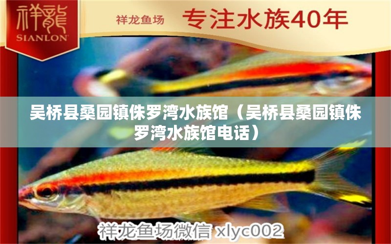 吴桥县桑园镇侏罗湾水族馆（吴桥县桑园镇侏罗湾水族馆电话）