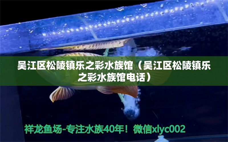 吴江区松陵镇乐之彩水族馆（吴江区松陵镇乐之彩水族馆电话） 全国水族馆企业名录