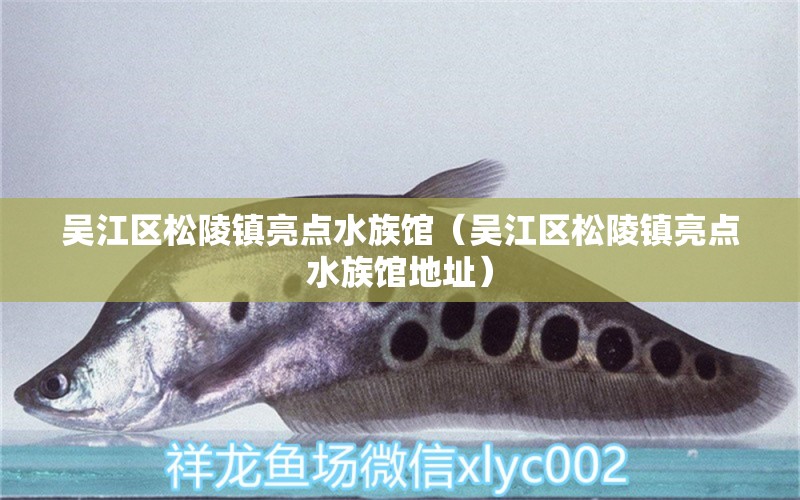 吴江区松陵镇亮点水族馆（吴江区松陵镇亮点水族馆地址） 全国水族馆企业名录